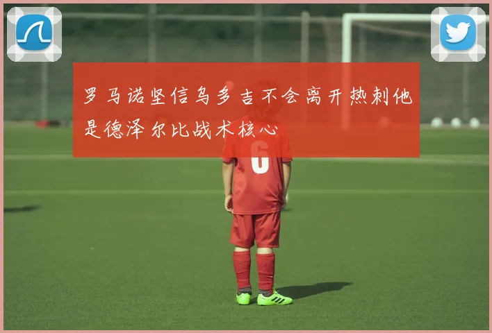 罗马诺坚信乌多吉不会离开热刺他是德泽尔比战术核心